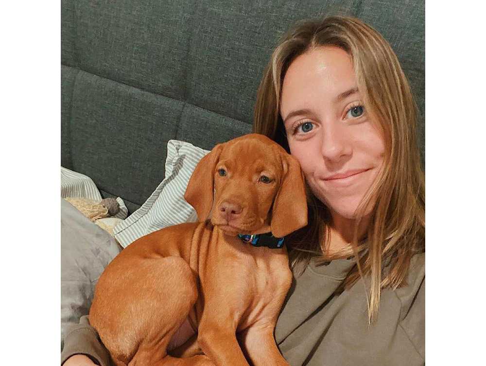 Vizsla Davranışı