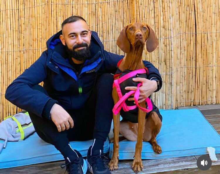 Vizsla Davranışı