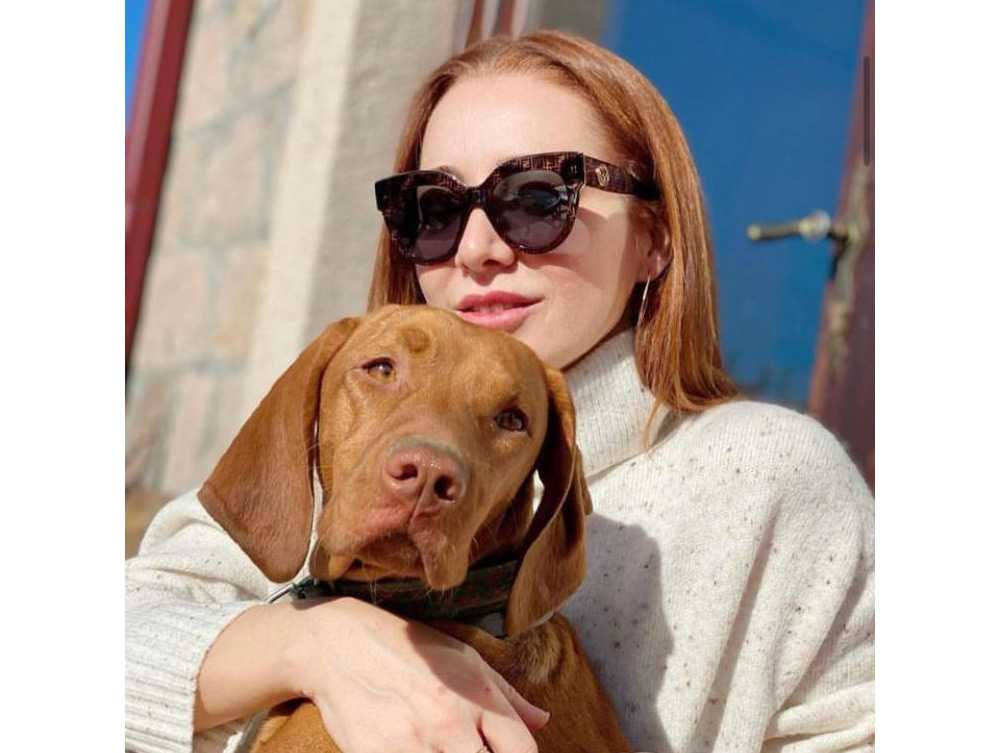 Vizsla Davranışı