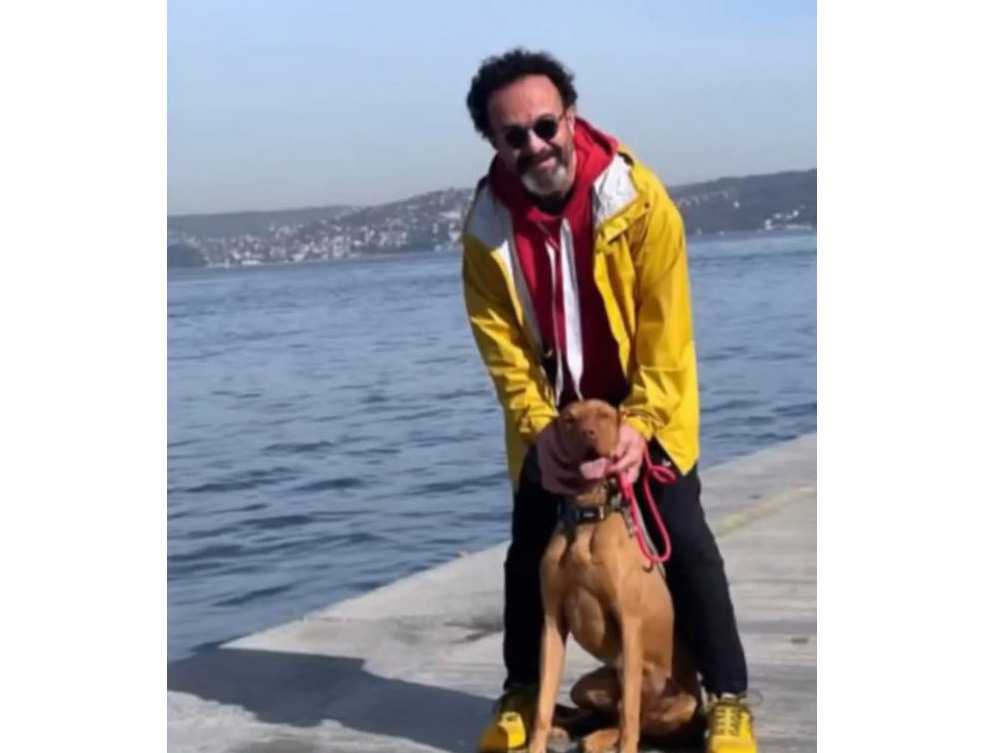 Vizsla Davranışı