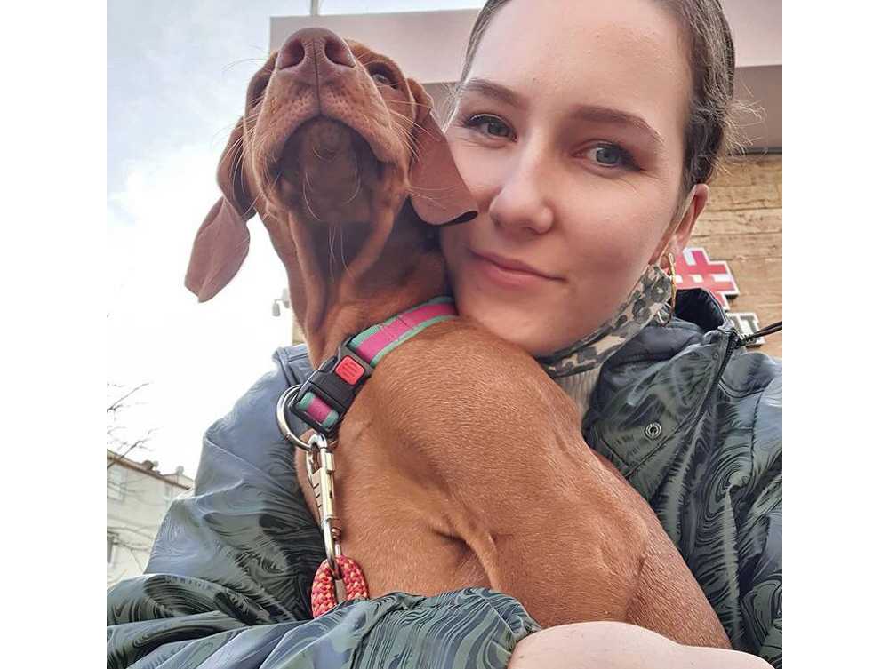 Vizsla Davranışı
