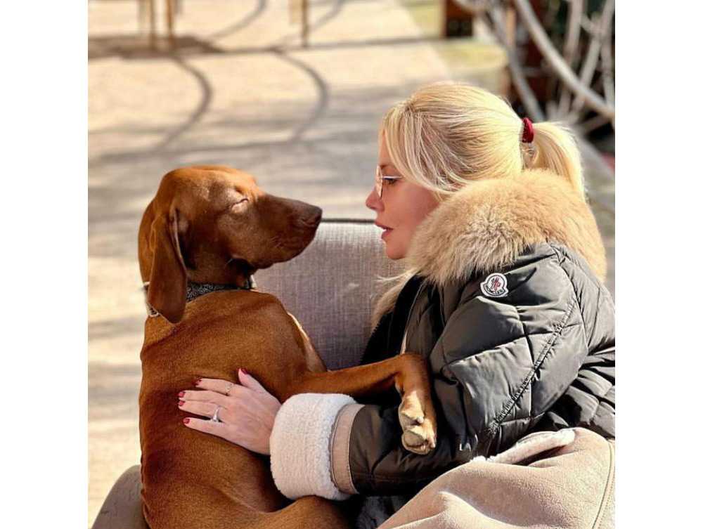 Vizsla Davranışı